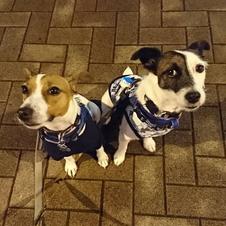 F629d17c 3fdf 4bd1 9523 1f63e3874de4 1537188536547