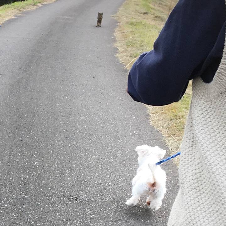 F629d24d bcf4 4cb7 90dc 1238edf817b9 1604383262495