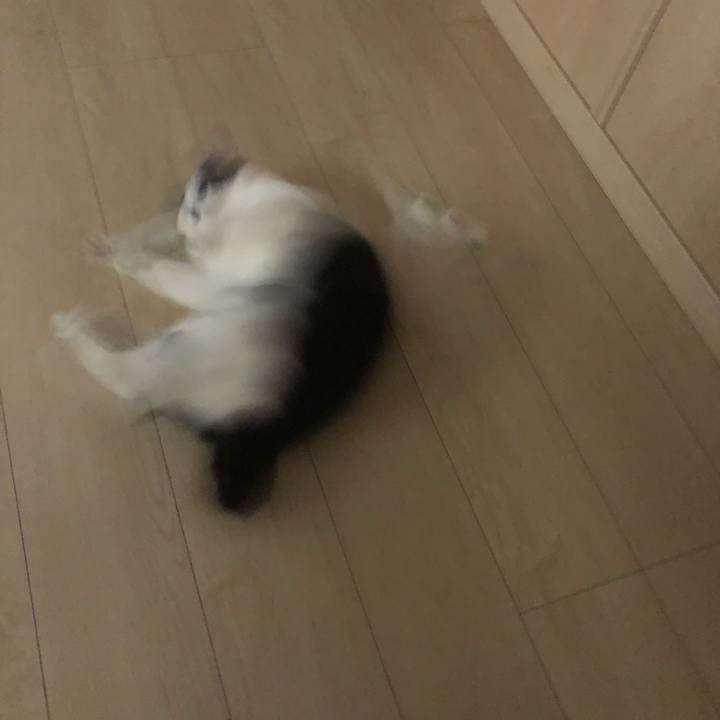 F629dd44 34f2 45c9 944b 735171d14350 1557950035558