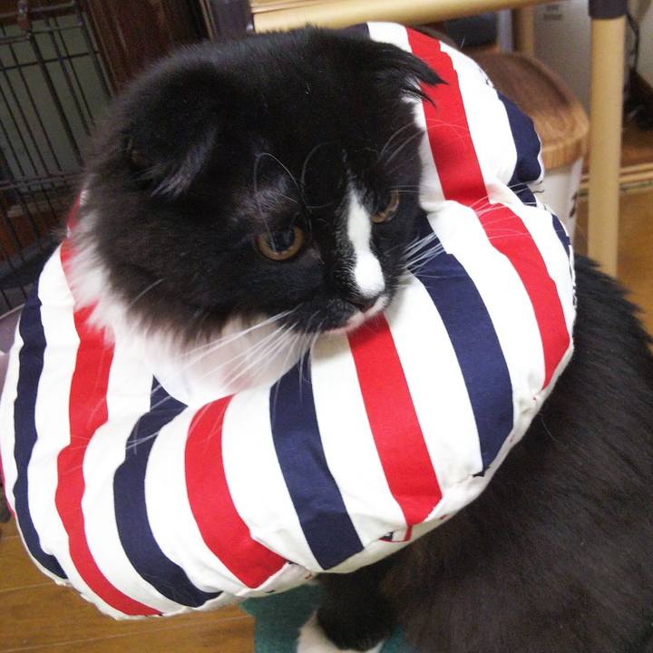 F629e4a8 5c97 4f64 af4c cb3f3ca93355 1645361929902