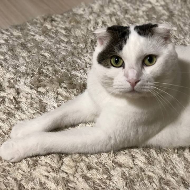 F629e8d2 3a44 4285 89bd d20f209ffcd6 1533648608533