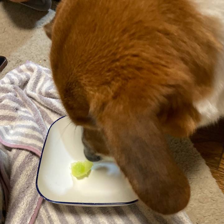 F62a18b7 444f 4a9d b0ce 77142fcdd3cd 1692706164766