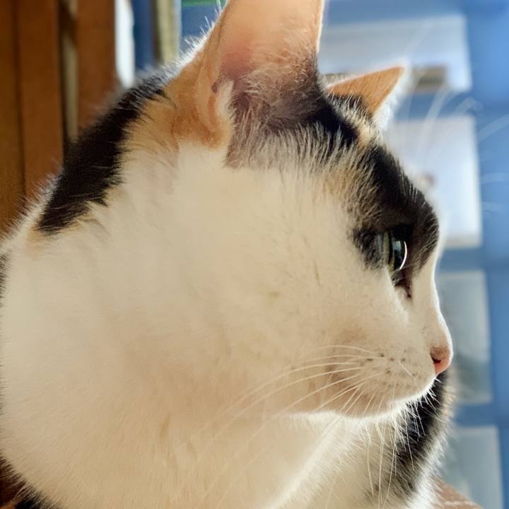 F62a70e3 7bdd 4607 89ae 8475245d2dea 1543022521601