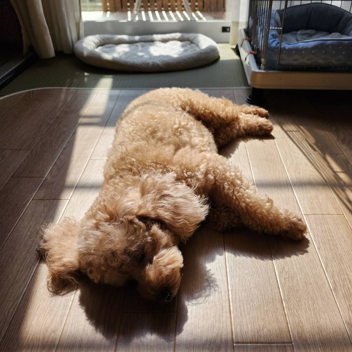 F62a8970 b564 41b9 8356 7a52ca9d005c 1760772764721