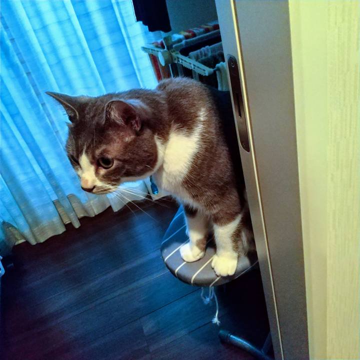 F62a8ab2 42a8 454e b681 f107b831bc63 1631570207926