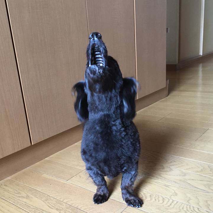 F62ad9ad 2f51 4a26 8727 e5b19b5ba154 1530744469510