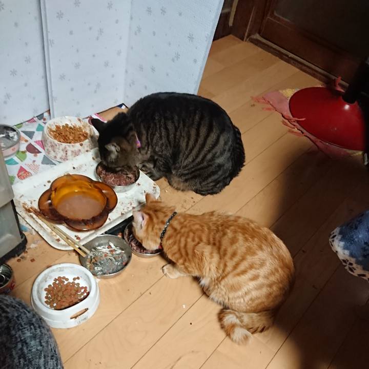 F62b3089 d97c 43a5 a98b 76a7bbcf0f10 1644010268723