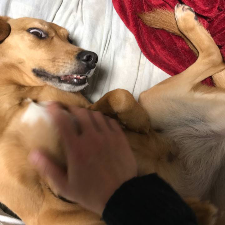 F62b3bfb 7086 4999 a750 8b19c6a16450 1517495419861