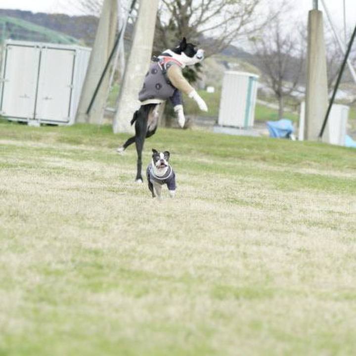 F62b4ee1 88a8 4201 9da4 f384a86157c2 1546154454133