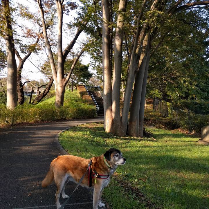 F62b78b5 1d51 4058 a15f eb71b1d99a37 1541633973478