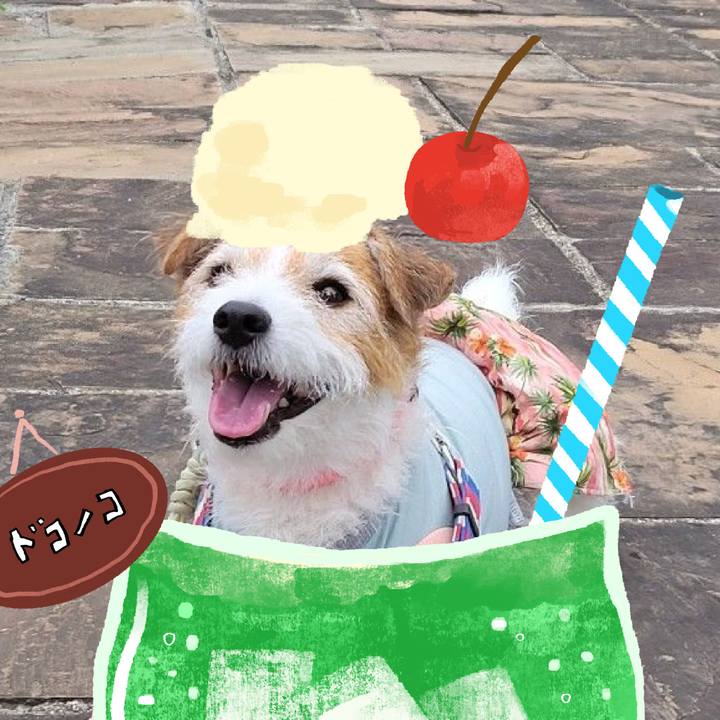 F62b829a 0660 401d b481 f8d38e5a1b61 1755081686809