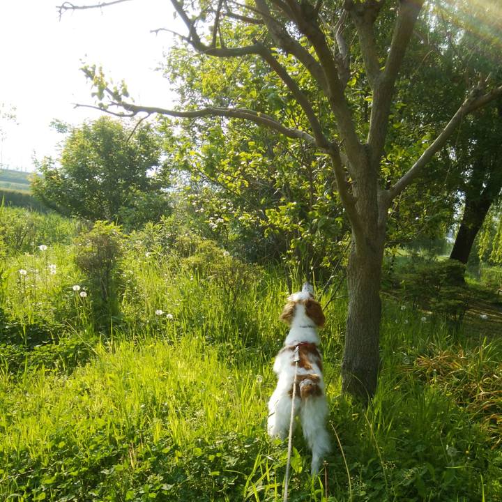 F62ba792 289a 48f9 bb8a b8e6e1596b31 1525131939806