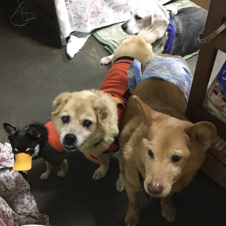 F62c4156 9061 4c2c ade7 61ab19b6598f 1522125595283