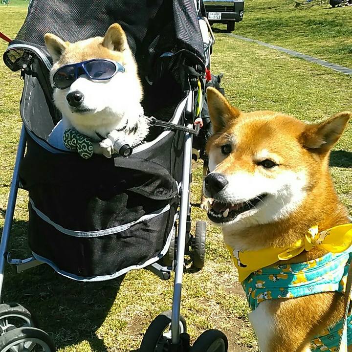 F62c82e5 52f7 4469 88fa 9a3ee718efe2 1553397648790