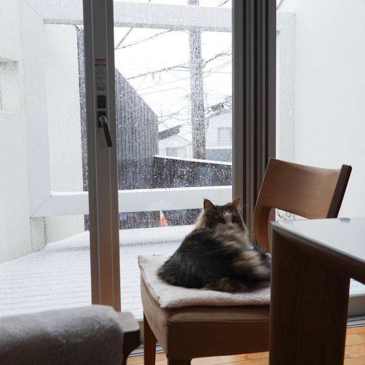 F62caaf2 9a35 41ba a1b4 adf74f592b1a 1585438191864