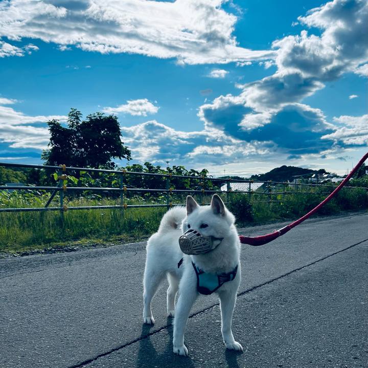 F62cac99 8e4b 4761 8041 cd06ddafa4c3 1686348154570