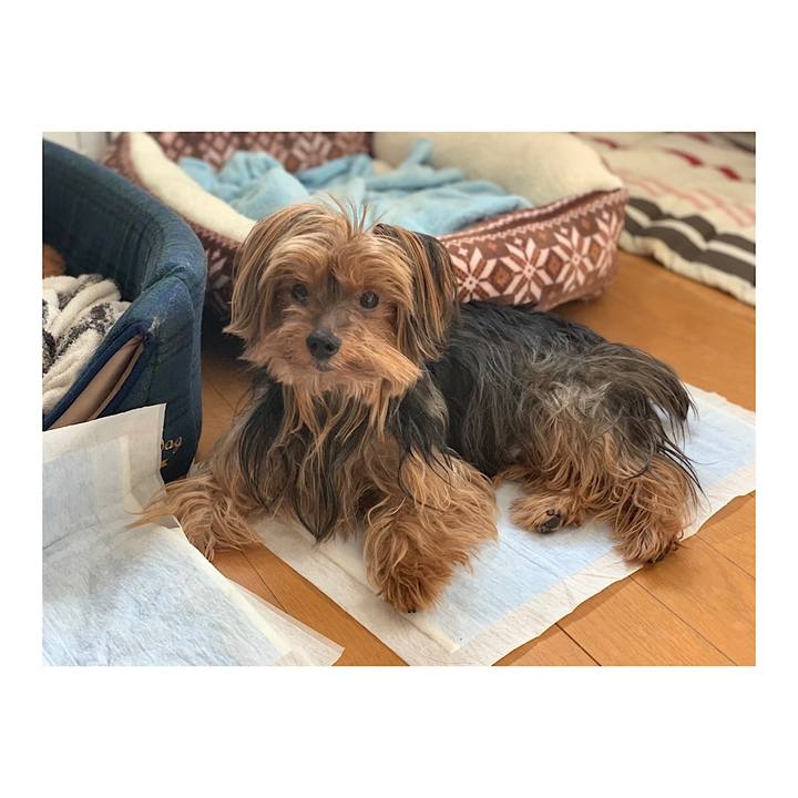 F62cfc5e c98b 43ec aeac 44c9333d800f 1550029310054