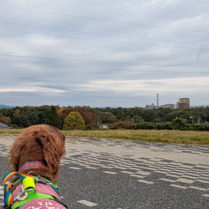 F62cfe1b e4ec 46da bec6 25fe35cb59dd 1761273588014