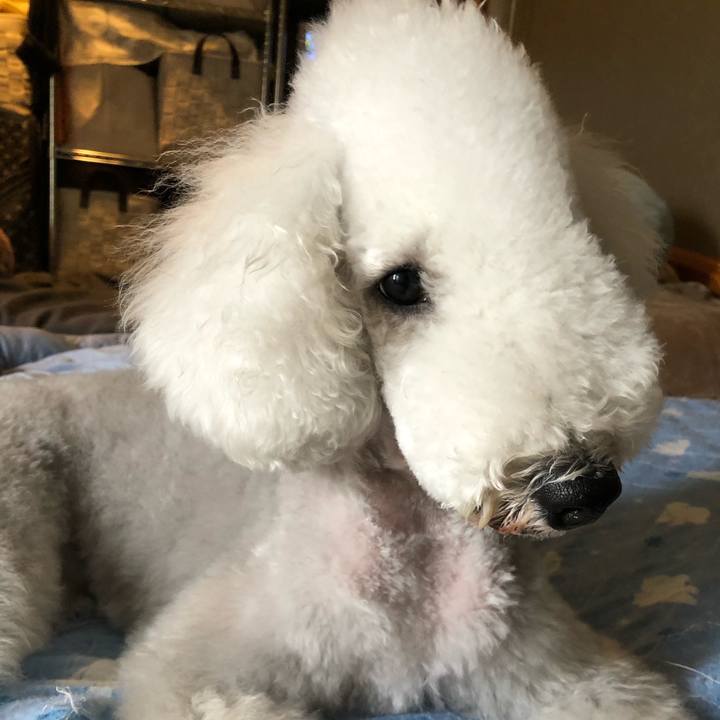 F62d12c6 2d25 419d 96f2 a3b5030e705e 1601184023829