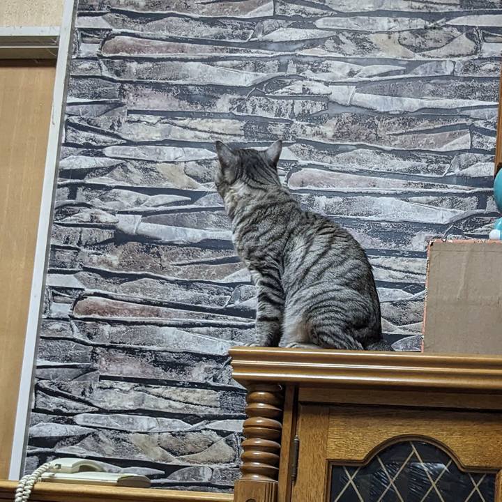 F62d20b1 f219 4568 956d 838120095ef4 1700224016683