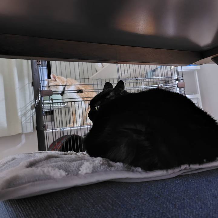 F62d2c41 2bae 48b9 8172 cd229b962681 1739971047785