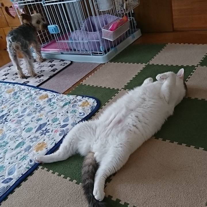 F62d503d ab9f 4f52 a4ee 5f68a128b833 1533257835668