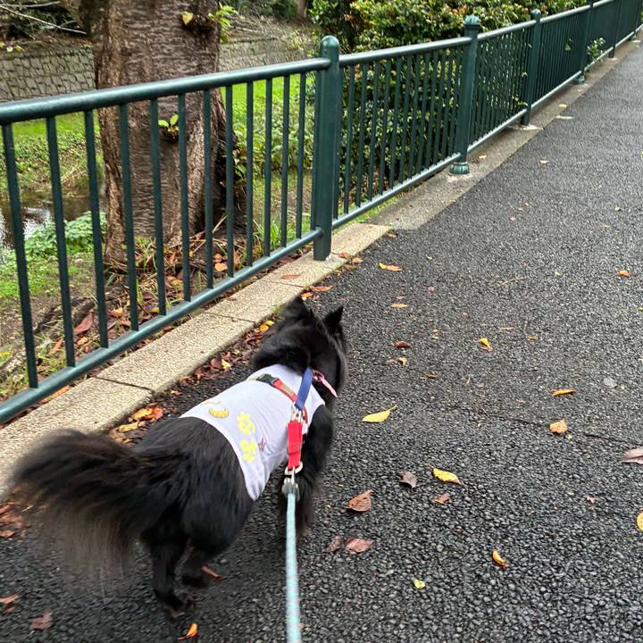 F62d7bef caa1 4aa9 8d77 f5949727f46e 1761177831855