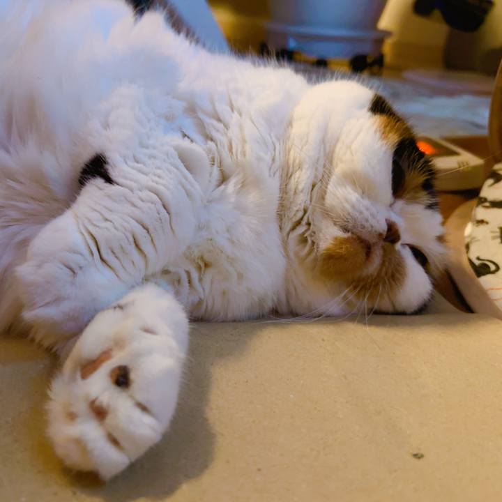 F62e91c2 d0a0 466c 9312 392d9fe2d14c 1702564291343