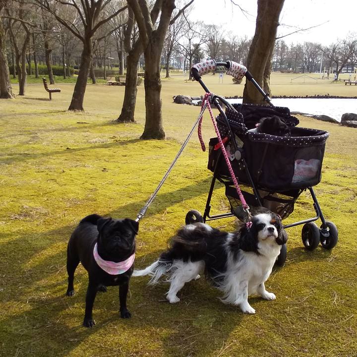 F62ec13d 51fa 411e b671 6bd703653754 1553667906223