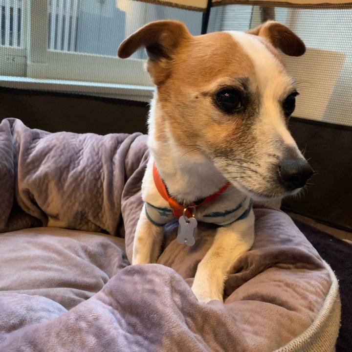 F62ed92e 99a1 4d06 bd8a 52bf223a70eb 1647159809364