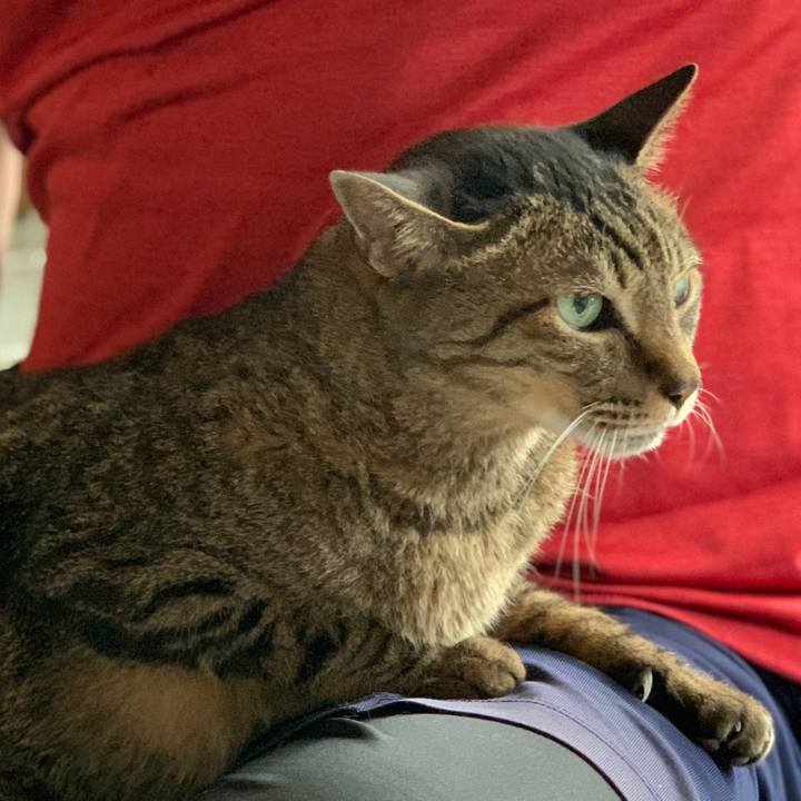 F62f1d53 2f67 4ed5 8925 02ad7019c4c8 1592442749279