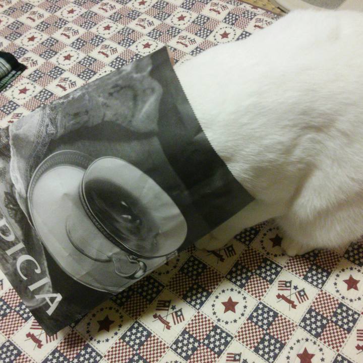 F62f5158 ef48 46a1 b1a7 9fca71cca167 1537788318928