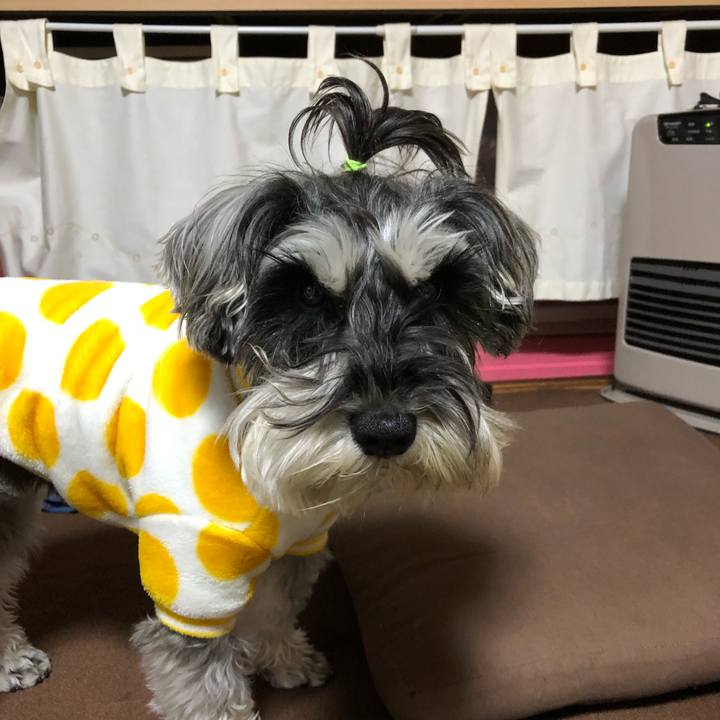 F62f5c1a af18 4383 b52b 373249dd7fd4 1521297425967