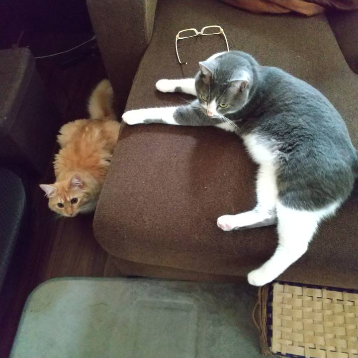 F62f6196 1bc4 4b97 a321 9d8ccb79c038 1629929994370