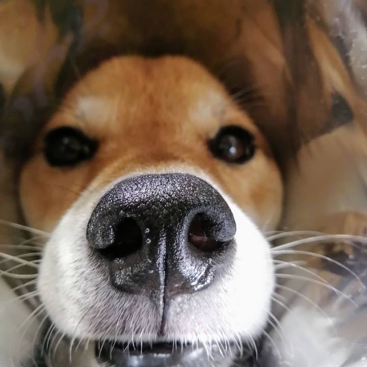 F62f642f d4e8 4b77 90a9 4edeb4a6d354 1595946263121