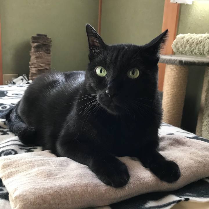 F62f8a5a cd03 4597 9666 6858049f2455 1509068144756