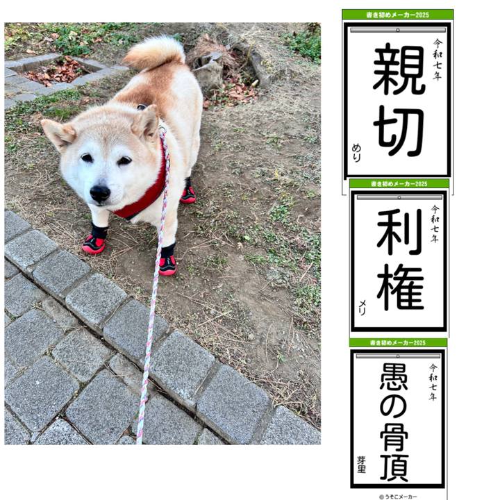 F62f8ce4 e4b6 477c b140 fb4b35290924 1735987448503