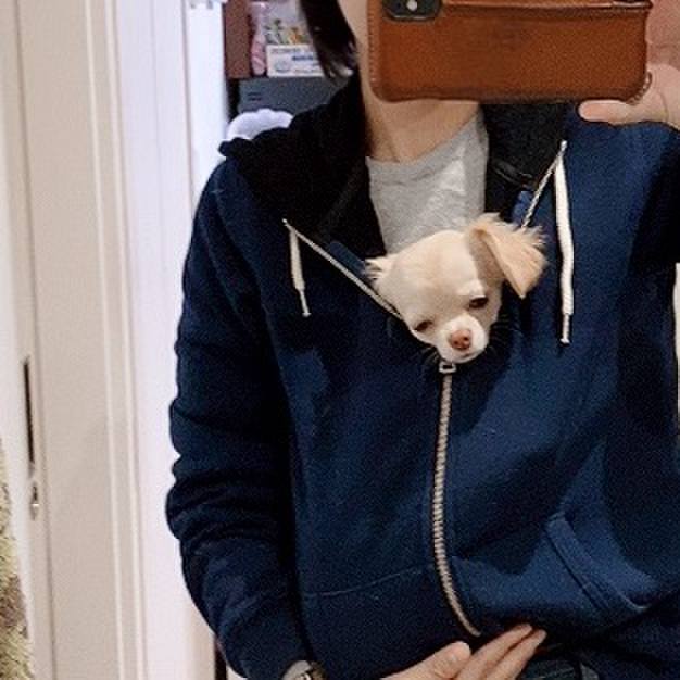 F62f9100 2ee1 4348 a785 fc2ff75efd68 1605173095157