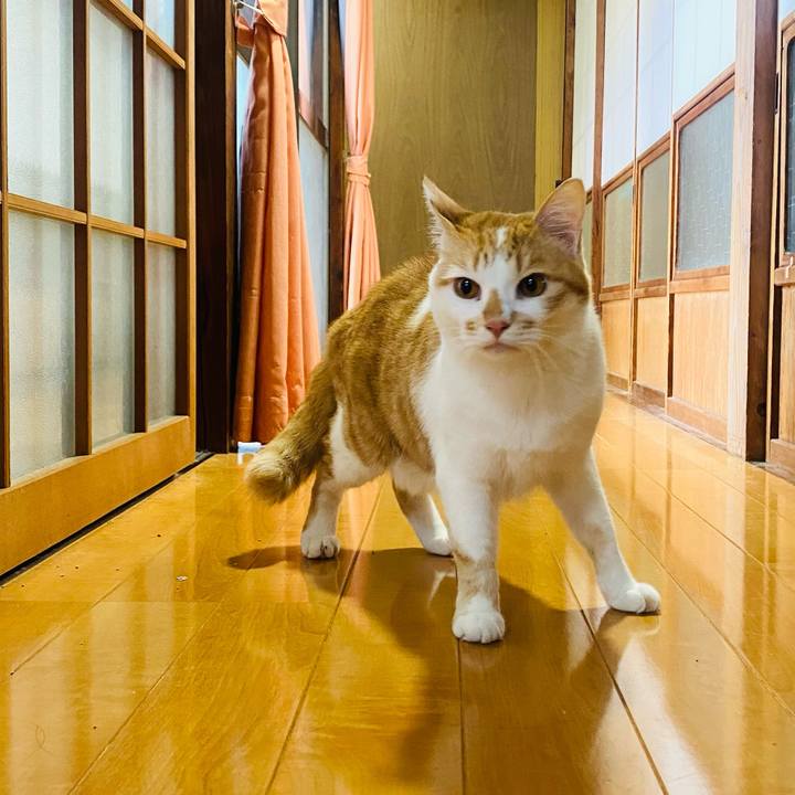 F62fa55e 6a05 4a4d baca b43a2d181fed 1653218354591