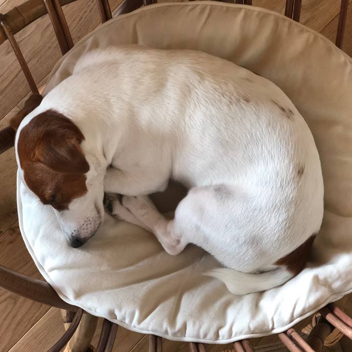 F62fabe6 d093 4d51 9e31 fea8b71ea6cb 1566900689790