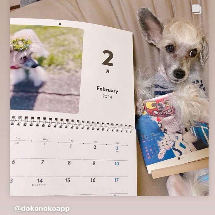 F62fbf7d b43a 468b 8685 eab3c79e950c 1708163005030