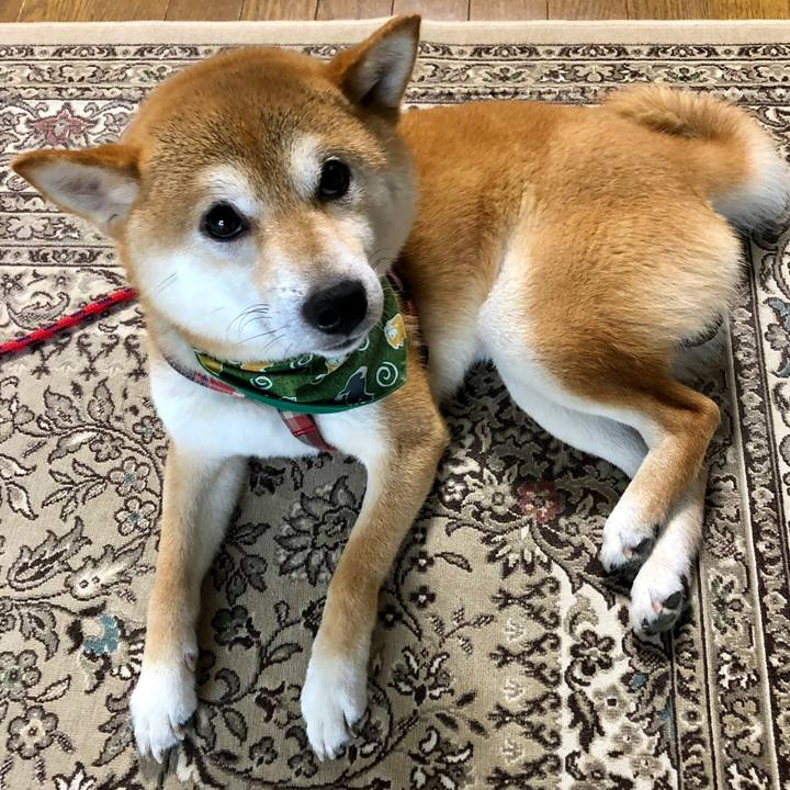 F62fe162 4280 4c6d bb96 183d146b8a96 1532423725684