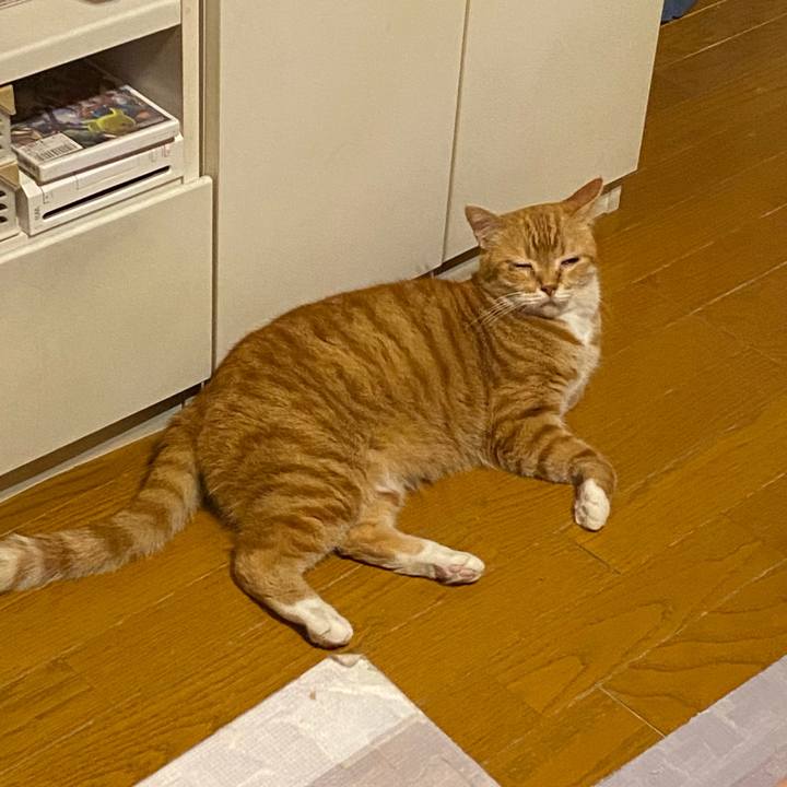 F6301a3b 3ecc 47db abf0 231611c92043 1624197204031