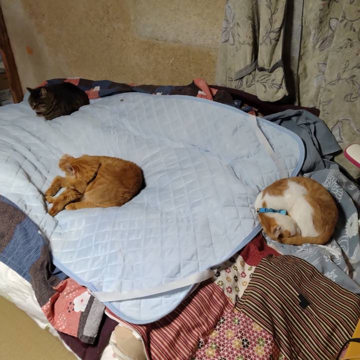 F6301e56 505a 42d7 a9dd d012fd37d134 1738746177019