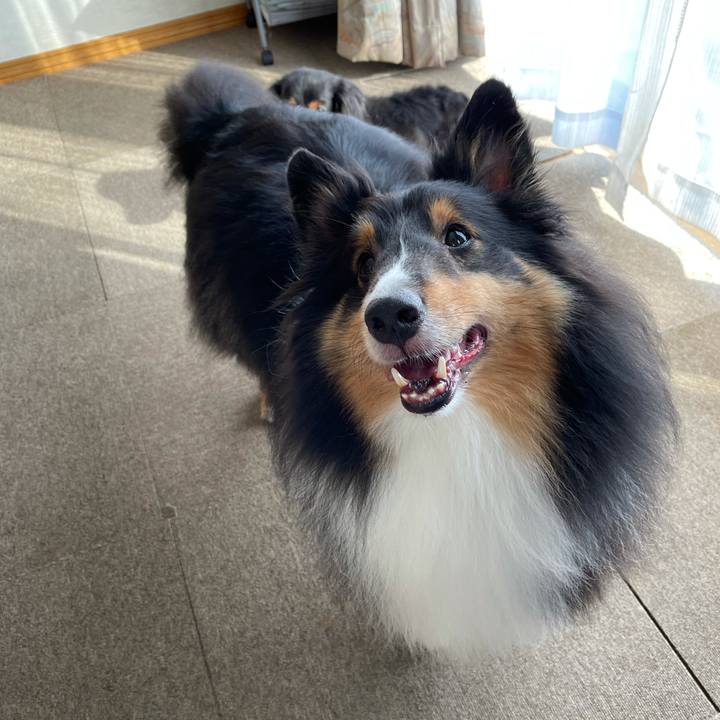 F6302bf1 5b65 489e a62f a1e197455cea 1624571787272