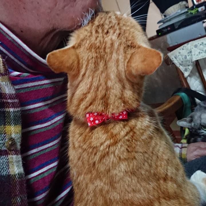 F63036ed fe6f 4b1b 8e41 28eb32b8a2f3 1578787311446