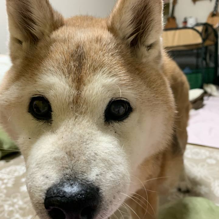 F630611e 7eba 459d 96ae 42f68121fd04 1683451958201