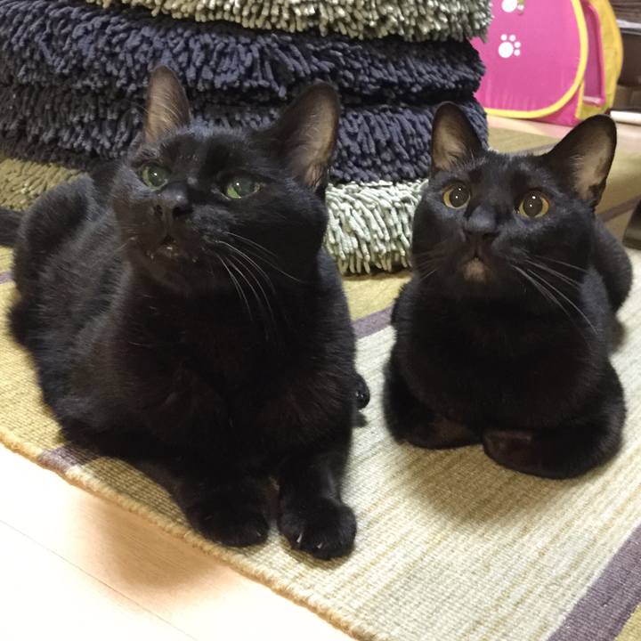 F6306cb7 e717 455b 9392 1412da53c3e0 1532784083618