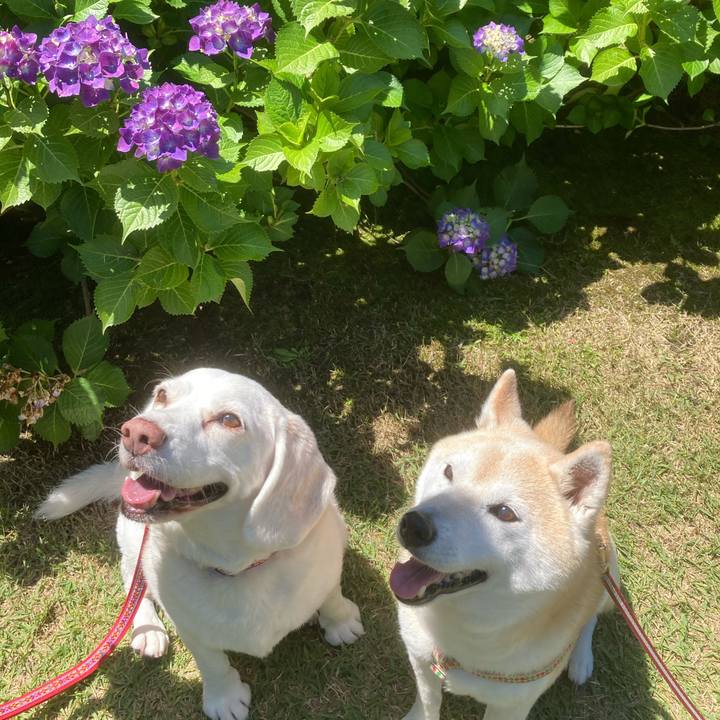 F63095d0 6fe2 41e6 9774 ade2a83c5834 1636298292479