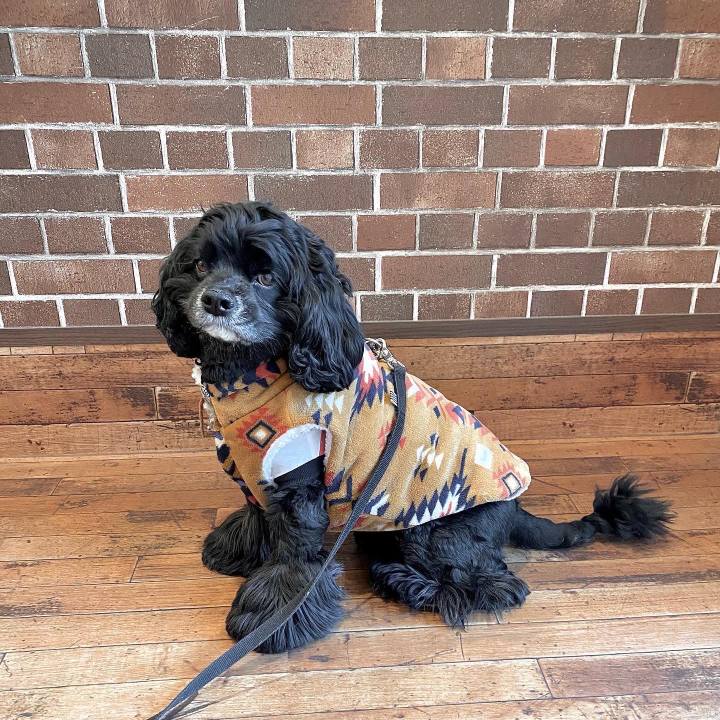 F630abb0 05cf 49a8 8ddb 54c3be925170 1644227538587